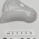 image of a work by Pates Potteries Pty Ltd