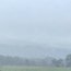 Adelaide hills fog